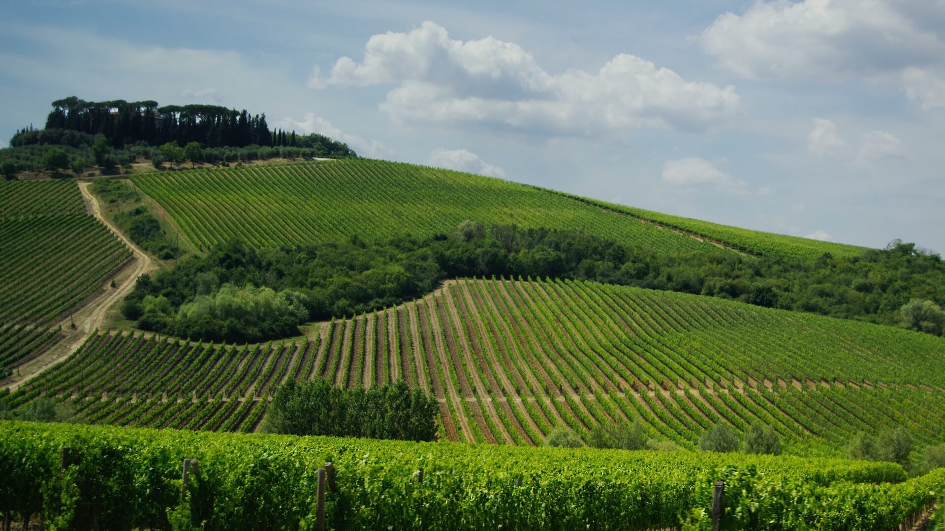 tuscany winery where to visit best in europe