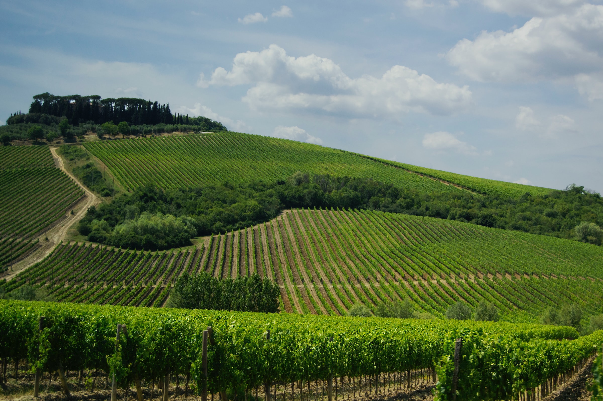 tuscany winery where to visit best in europe